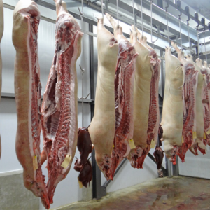 DESENGRASANTE DE GRASA ANIMAL BIODEGRADABLE Y SEGURO